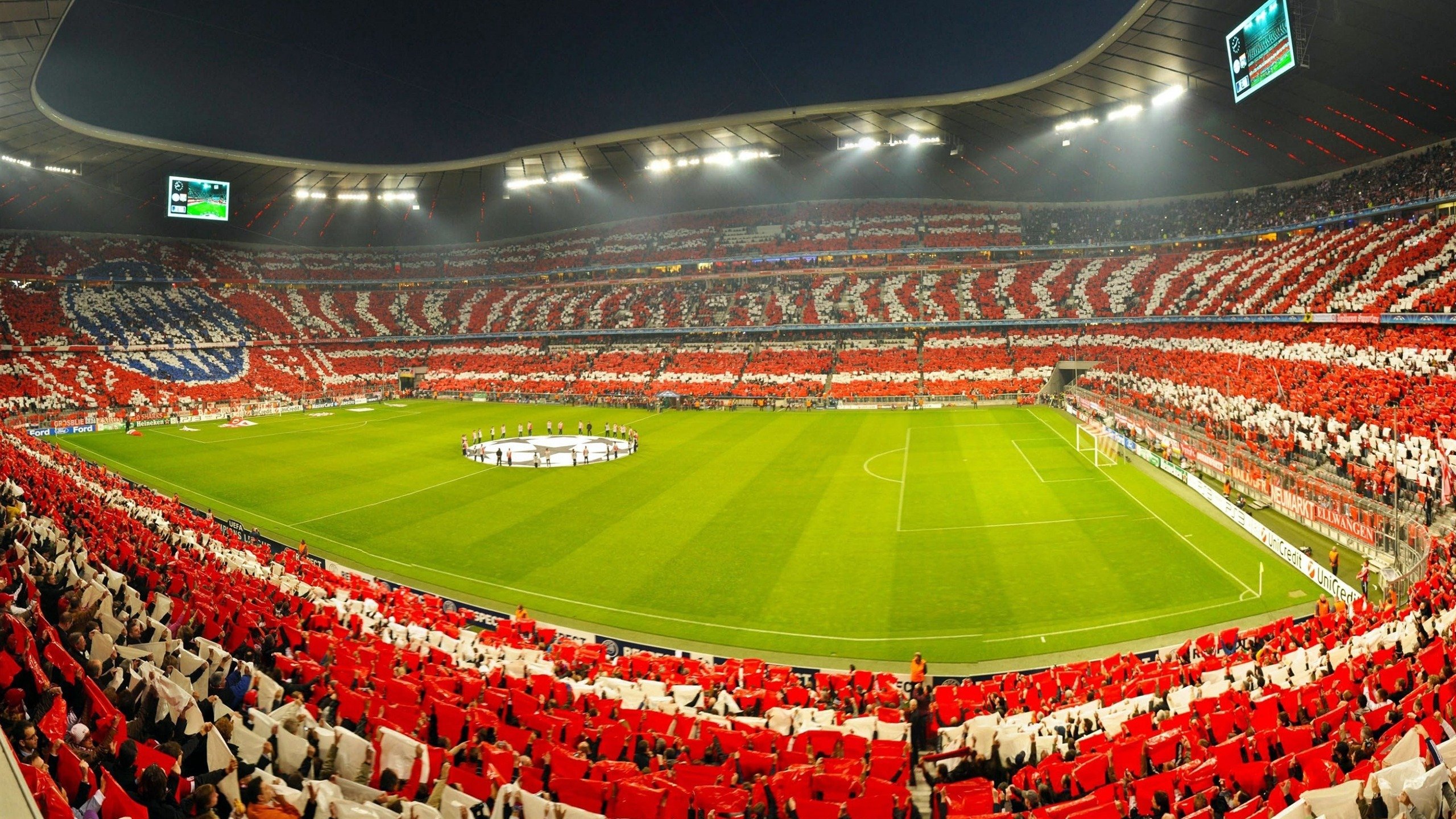 冠军的心跳:一场赛前赛后深入车手心境的精彩报道,冠军的心完整版