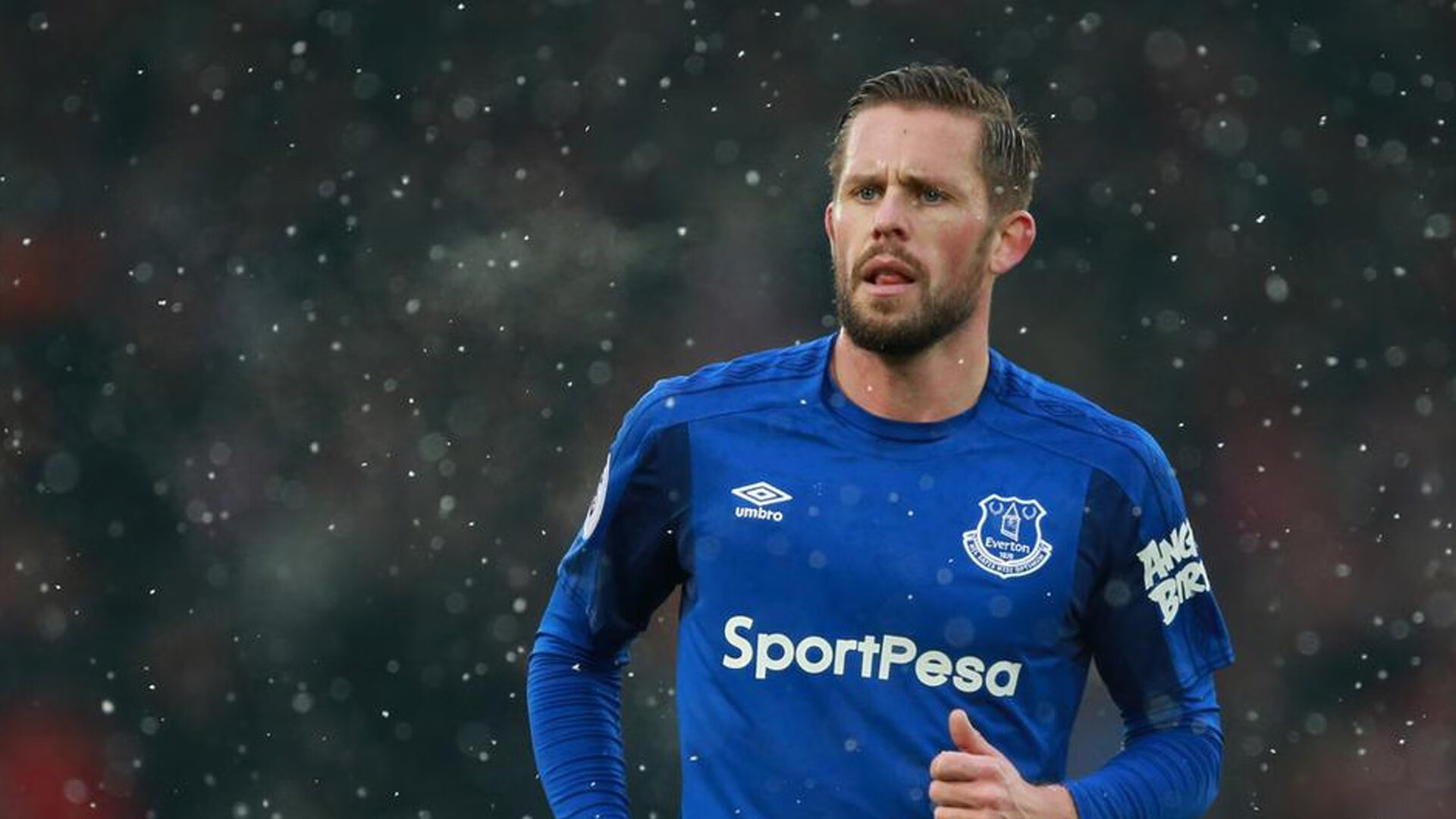 开云官网-惊险刺激：猛虎与雄鹿的比赛将掀起风波，猛虎vs雄狮