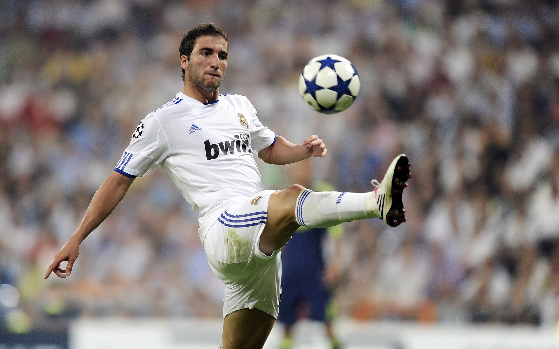 kaiyun体育app-西雅图海湾人签约新外援，增强进攻实力，西雅图海湾人足球战绩